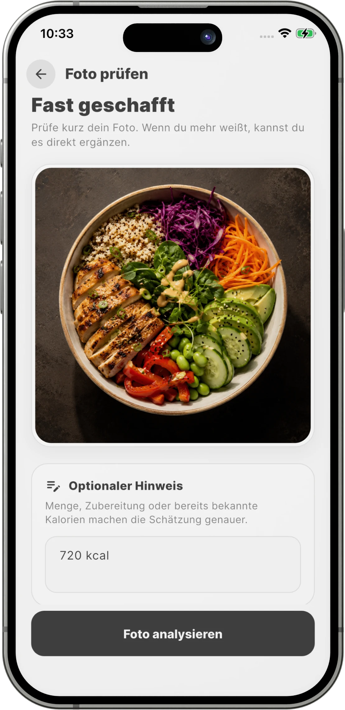 Optionaler Hinweis vor der CalorieMeister Fotoanalyse