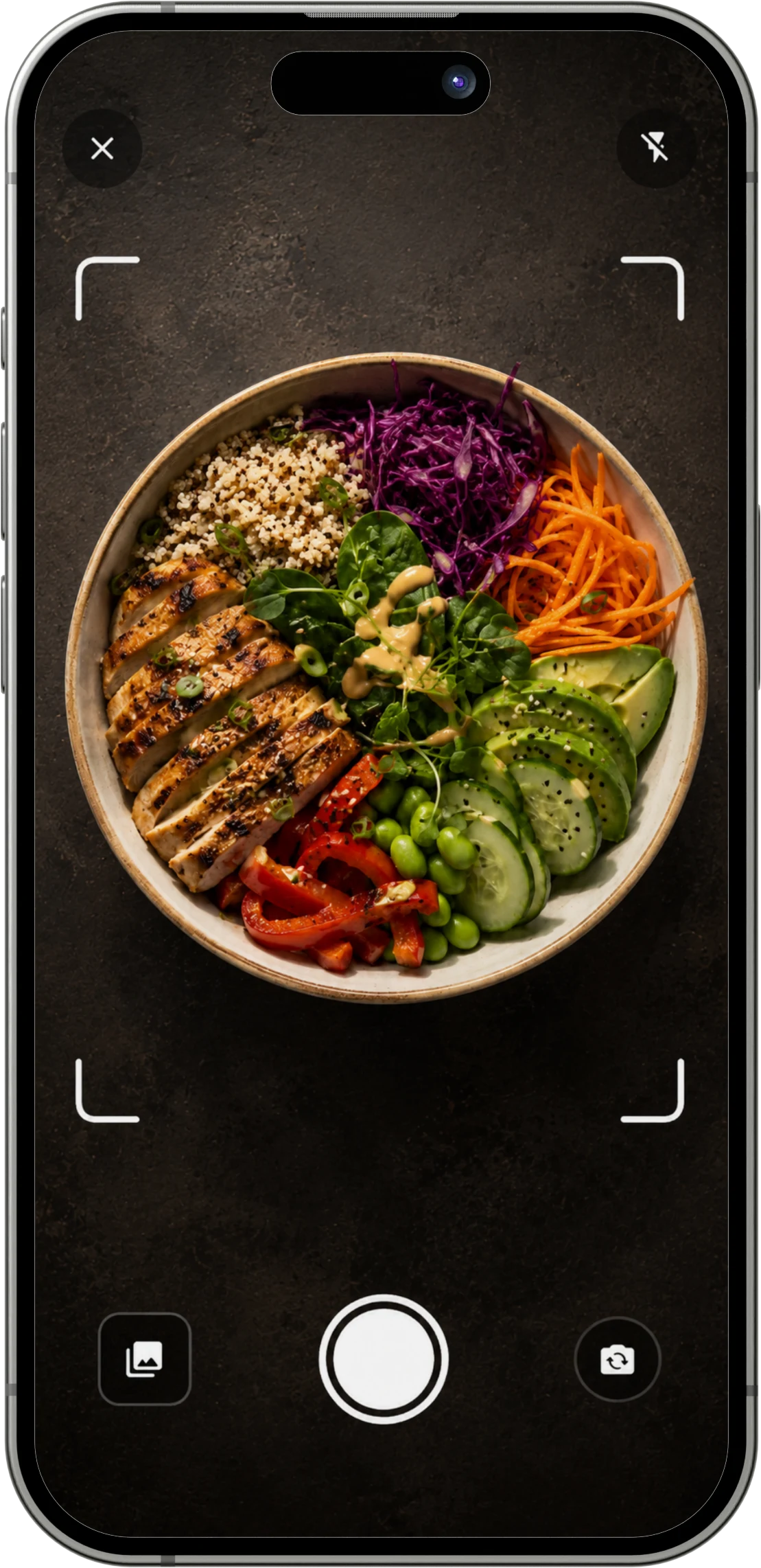 CalorieMeister camera showing a chicken and rice bowl